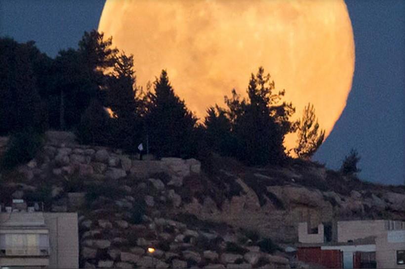 Фото луны в точке перигелия